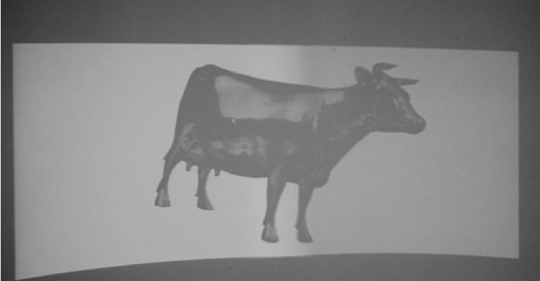 Multi-Projector Seamless Display System Based on PC-Cluster