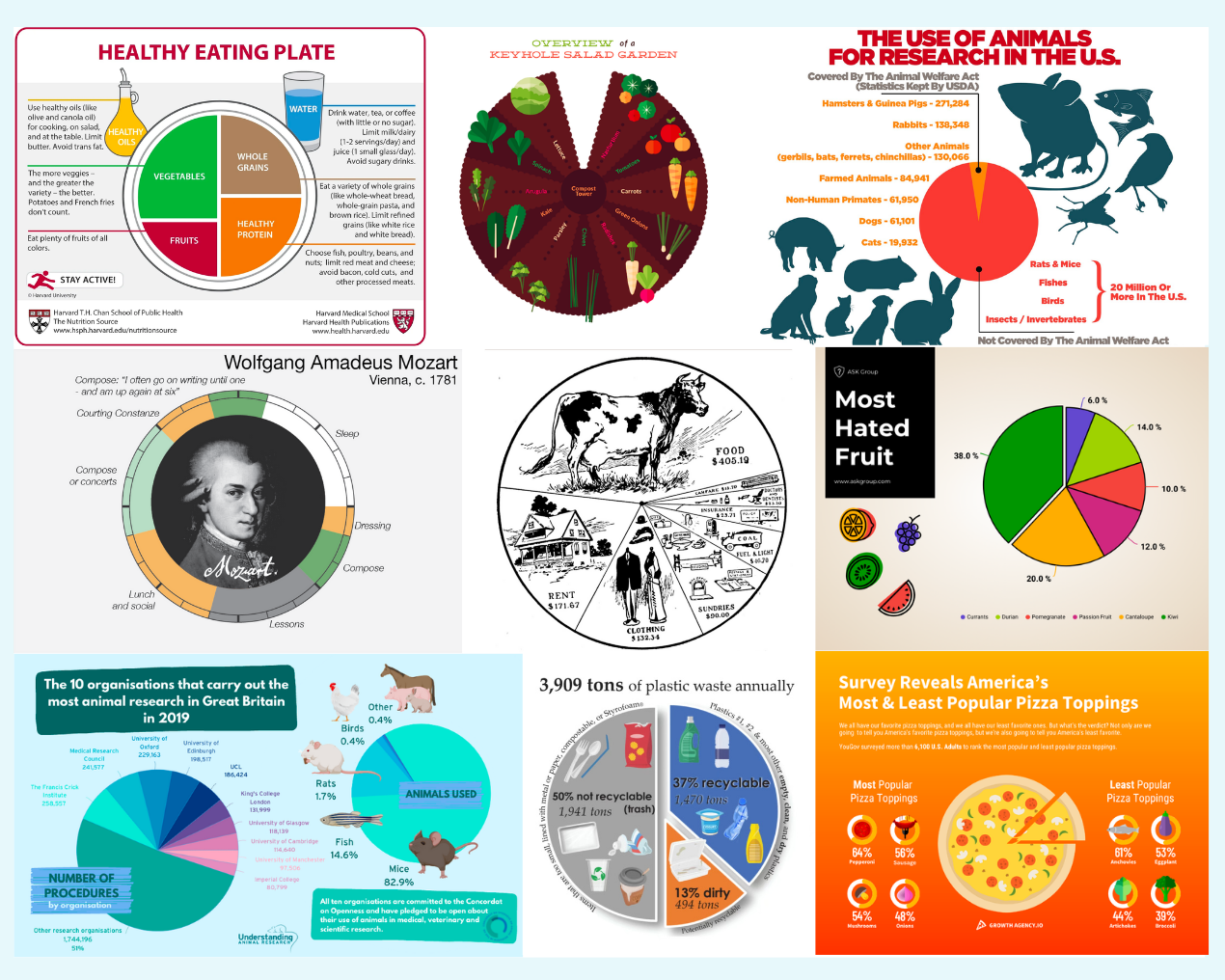 Visual Harmony: Text-Visual Interplay in Circular Infographics
