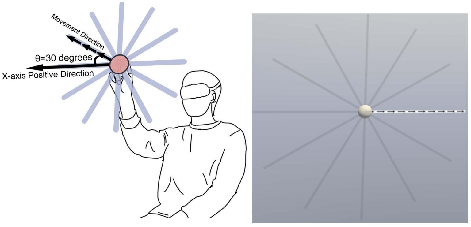 Exploring and Modeling Directional Effects on Steering Behavior in Virtual Reality